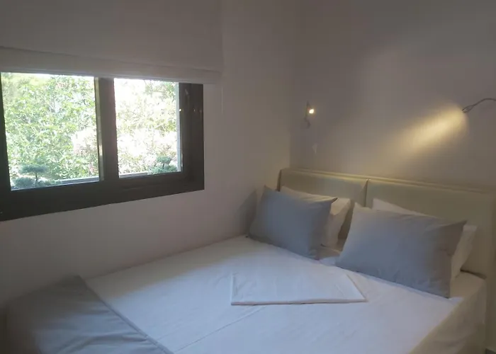 House Karga 3*
